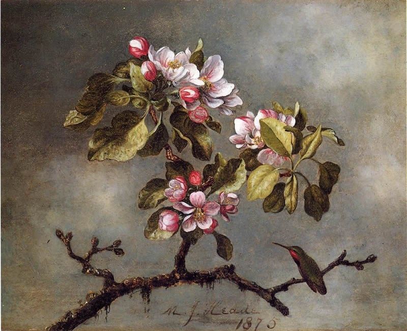 Martin Johnson Heade Apple Blossoms and Hummingbird